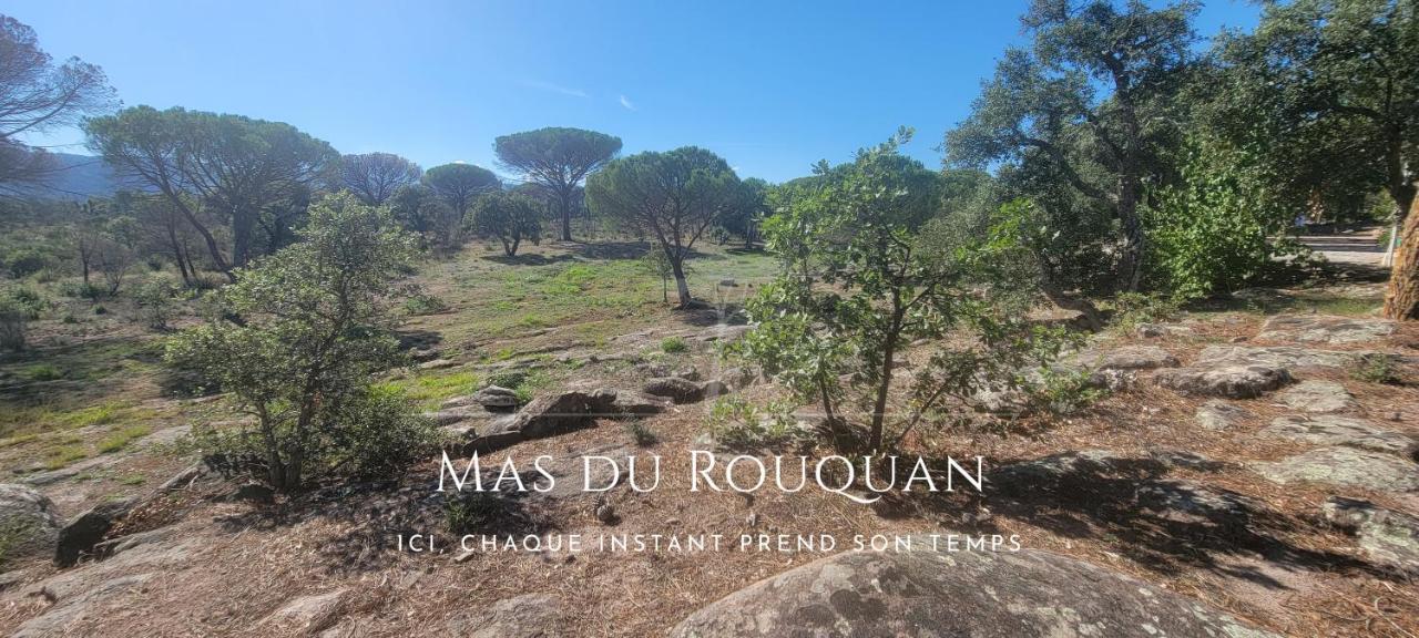 Le Mas Du Rouquan 비도방 외부 사진
